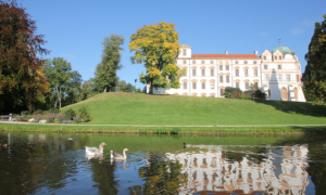 Celle_schloss_herbst_spaetsommer Barockes Schloss mit grünem Kuppelturm auf Hügel, davor Teich mit schwimmenden Gänsen und Spiegelung der Fassade im Wasser.