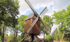 Celle_Bockwindmuehle-Winsen Historische Windmühle aus Holz, umgeben von Bäumen.