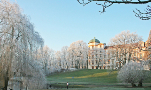 Celle_schloss_winter Schlossanlage im Winter mit schneebedeckten Bäumen und Rasenfläche.
